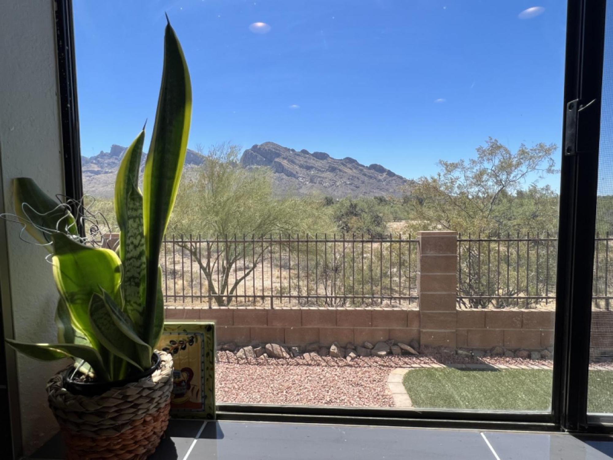 Private Home - Billiards, Mountain Views, Private Desert Access, Hoa Pool & Spa, Bbq, At Lambert Park - Bourbondale توسن المظهر الخارجي الصورة