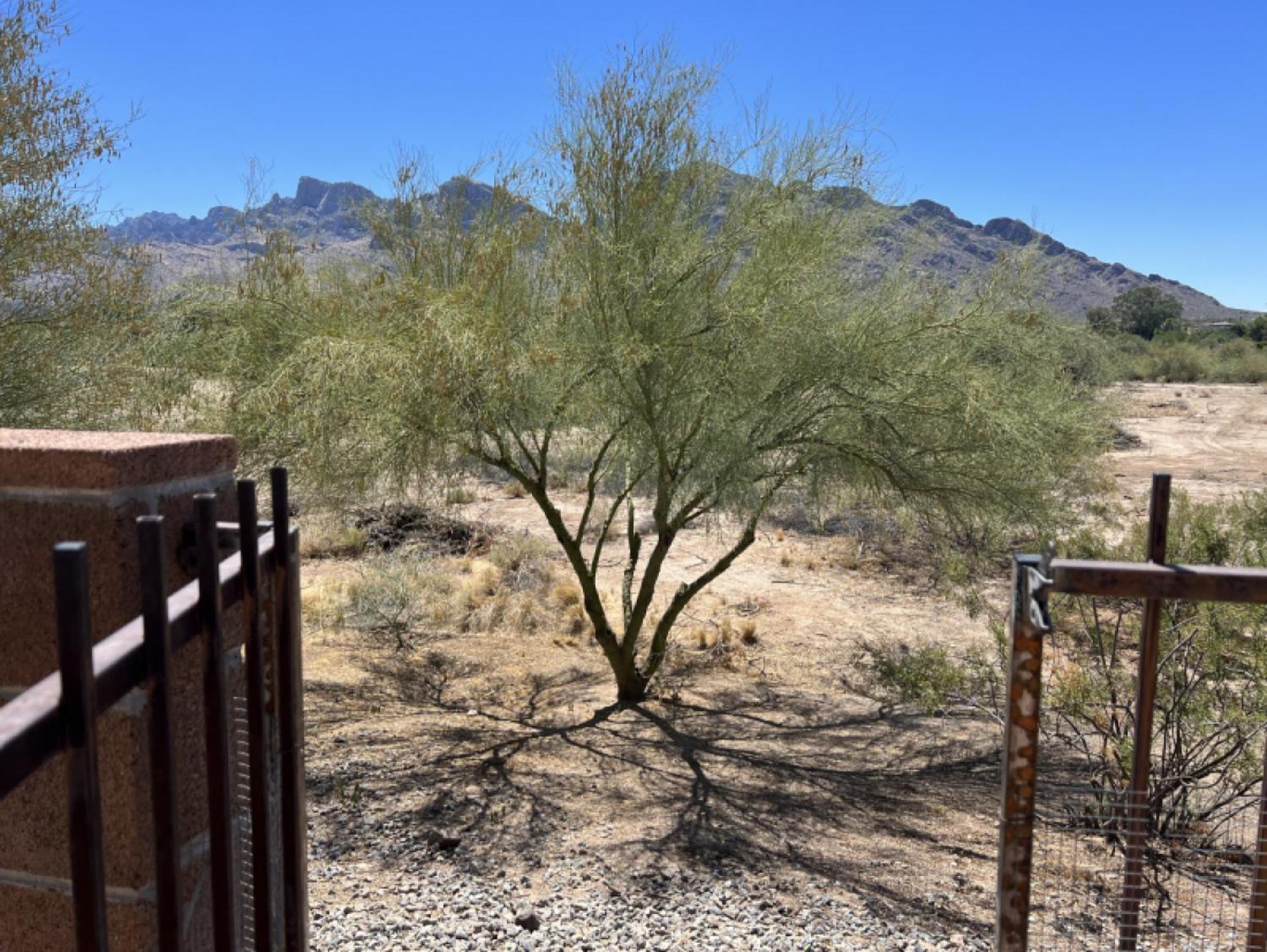 Private Home - Billiards, Mountain Views, Private Desert Access, Hoa Pool & Spa, Bbq, At Lambert Park - Bourbondale توسن المظهر الخارجي الصورة